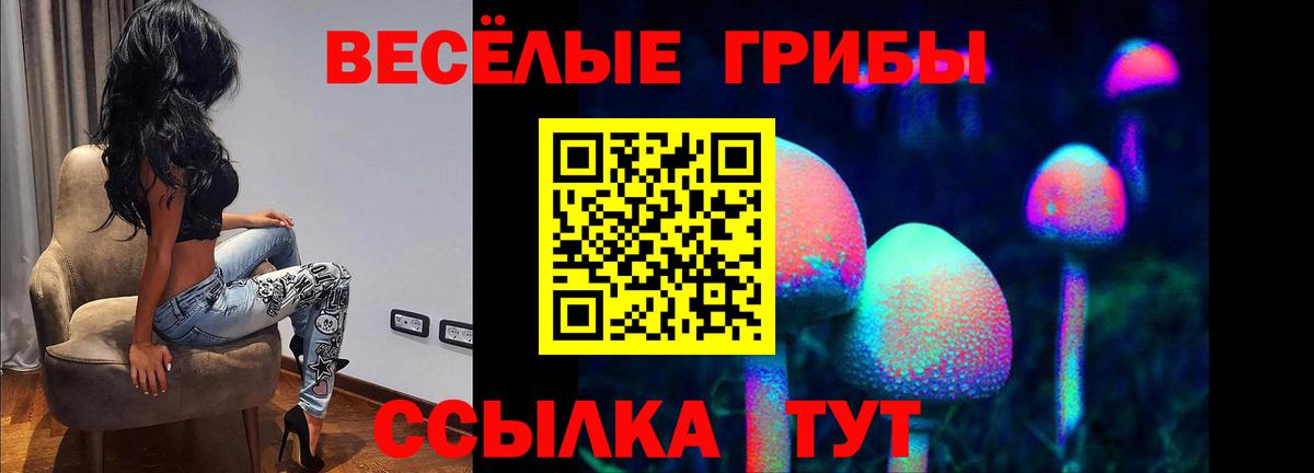 Дзержинский  Псилоцибиновые грибы мухоморы  Галлюциногенные грибы Magic Shrooms  Вход с VPN 